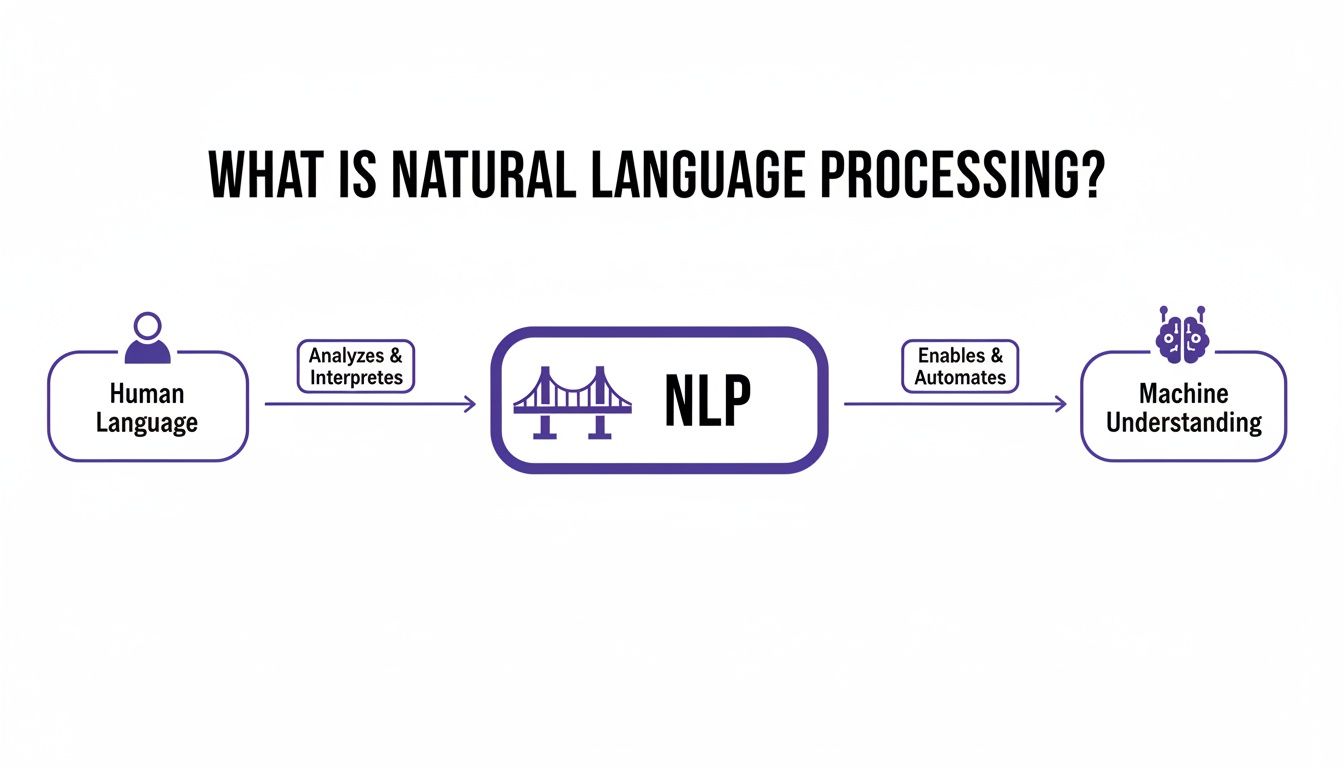 Diagram illustrating Natural Language Processing (NLP) as a bridge between human language and machine understanding.