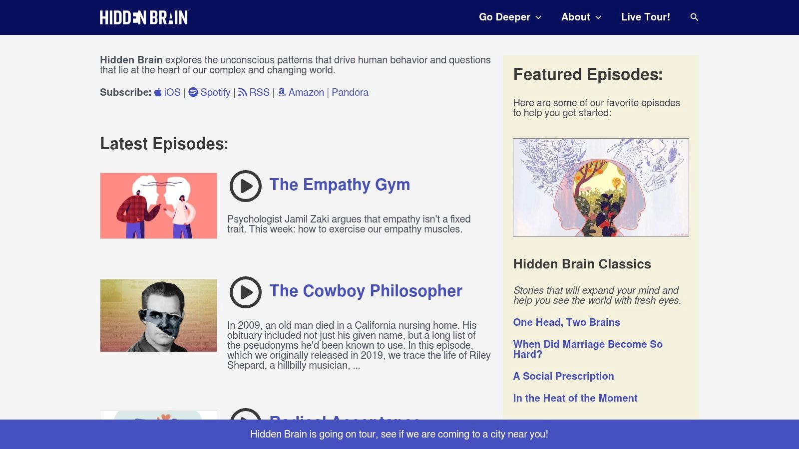 Hidden Brain